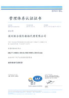 DNV簽發的ISO9001管理體系證書